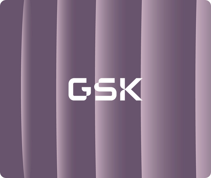 GSK S.p.A. cercava una soluzione per aggiornare il digital mindset collettivo e sviluppare le skill necessarie a gestire la complessità dell'intelligenza artificiale. Scopri come ci è riuscita.